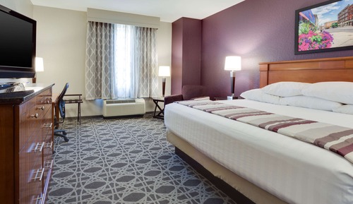 Room, 1 King Bed (Oversized)