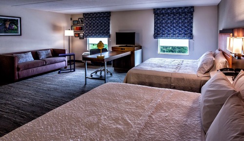 Two queen studio sofabed