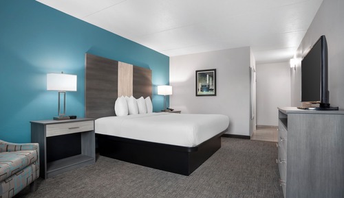 Suite, 1 King Bed, Non Smoking, Refrigerator & Microwave (with Sofabed)