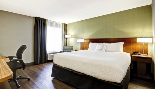 Room, 1 King Bed