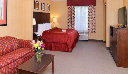 Suite, 1 King Bed with Sofa bed, Non Smoking