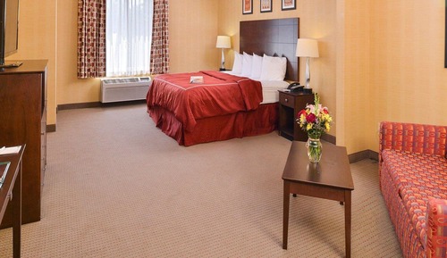 Suite, 1 King Bed with Sofa bed, Accessible