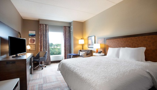 Room, 1 King Bed, Accessible, Non Smoking