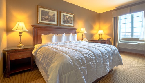 Deluxe Suite, 1 King Bed with Sofa bed