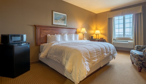 Standard Room, 1 King Bed with Sofa bed