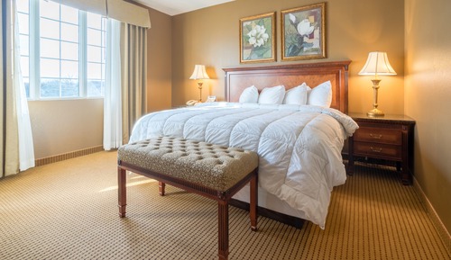 Executive Suite, 1 King Bed with Sofa bed