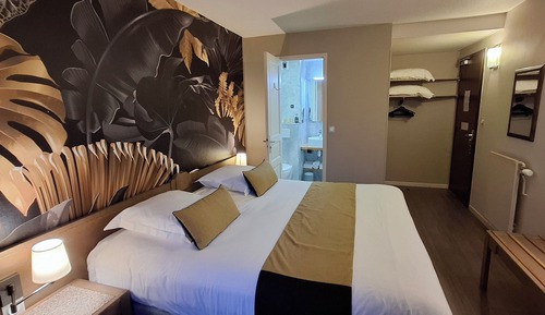 Premium Double Room, 1 King Bed, Non Smoking, Private Bathroom