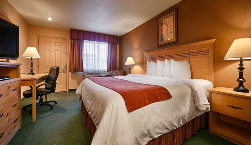 Standard Room, 1 King Bed, Non Smoking, Refrigerator & Microwave (Pet Friendly)