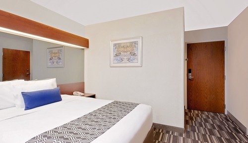 Room, 1 Queen Bed, Accessible, Non Smoking (Mobility/Hearing, Roll-In Shower)