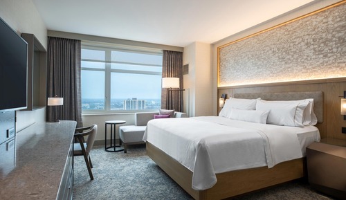 Traditional Room, 1 King Bed (Mobility Accessible, Roll-In Shower)