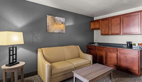 Suite, 1 King Bed, Non Smoking, Microwave