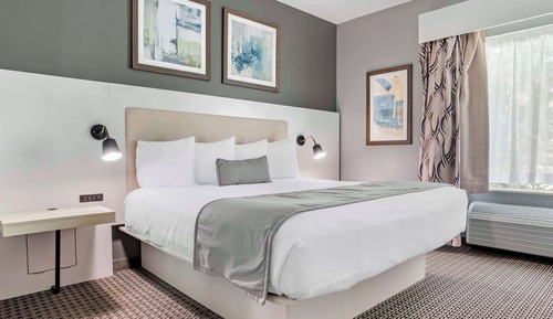 Standard Room, 1 King Bed, Accessible, Bathtub
