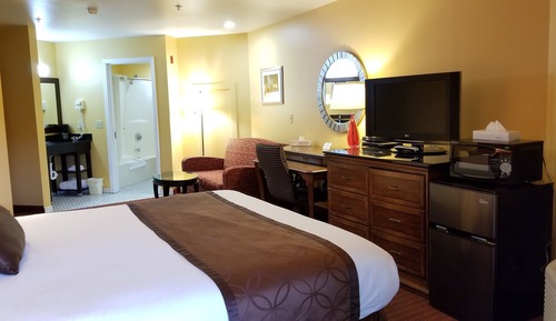 One King Deluxe Room with Sofa Bed No Pets