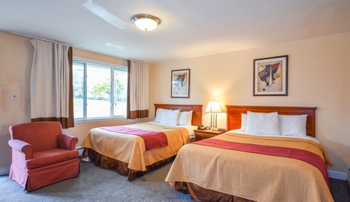 Standard Room, 2 Double Beds