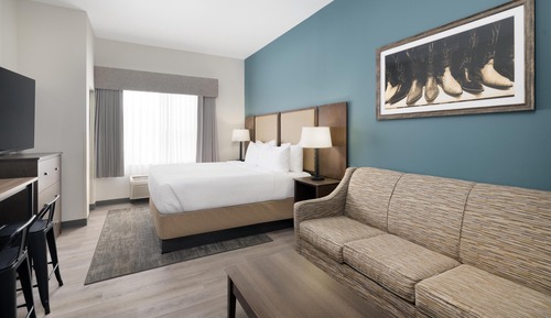 Standard Room, 1 King Bed, Non Smoking, Kitchenette (with Sofabed)