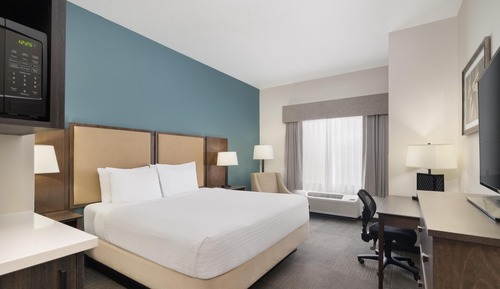 Standard Room, 1 King Bed, Non Smoking, Refrigerator & Microwave