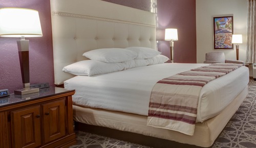 Room, 1 King Bed
