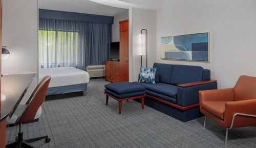 Suite, 1 King Bed with Sofa bed, Hearing Accessible