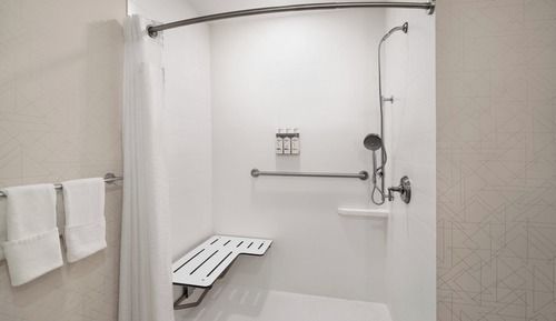 Standard Room, 1 King Bed (Mobility, Roll-In Shower, Extra Space)