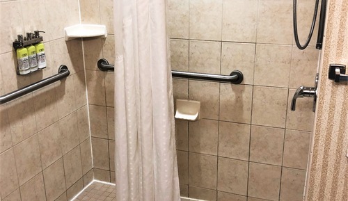 Standard Room, 1 King Bed, Accessible (Mobility Roll-In Shower)