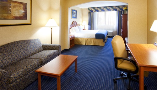 Suite, 1 King Bed with Sofa bed