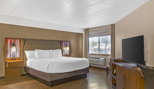 Standard Room, 1 King Bed, Non Smoking, Refrigerator & Microwave (with Sofabed)