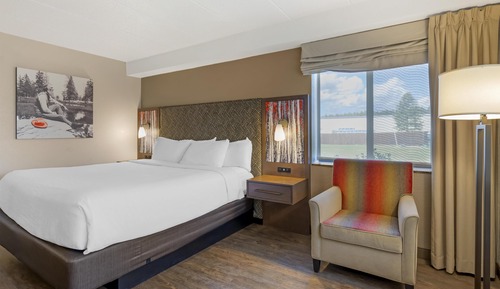 Standard Room, 1 King Bed, Non Smoking, Refrigerator & Microwave (Pet Friendly)