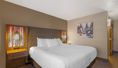 Standard Room, 1 King Bed, Accessible, Refrigerator & Microwave