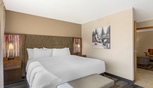 Suite, 1 King Bed, Non Smoking, Refrigerator & Microwave (with Sofabed)