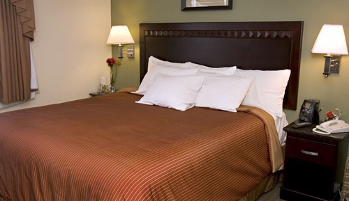 Standard Room, King suite