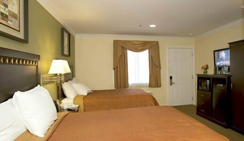 Standard Room, 2 Double Beds