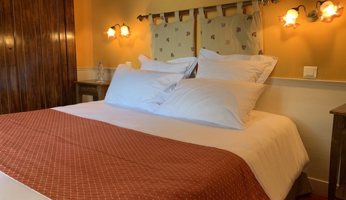 Comfort Suite