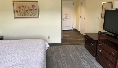 Room, 1 King Bed, Accessible, Non Smoking (Roll-in Shower)