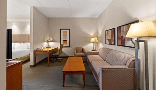 Suite, 1 King Bed, Non Smoking, Kitchenette (Shower Only;with Sofabed)
