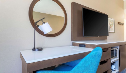 Room, 1 King Bed, Accessible, Roll In Shower
