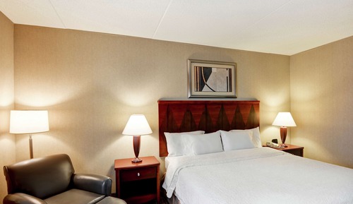 Room, 1 King Bed, Accessible, Bathtub (Mobility & Hearing)