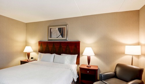 Room, 1 King Bed, Accessible (Mobility & Hearing, Roll-In Shower)