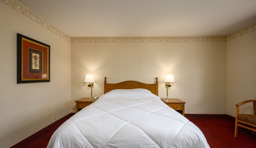 Standard Room, 1 Queen Bed