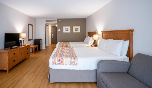 Standard Room, Multiple Beds, Non Smoking