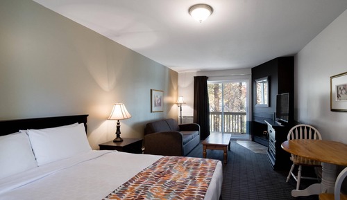 Room, 1 Queen Bed with Sofa bed, Non Smoking (Efficiency)