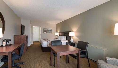 Standard Room, 1 King Bed, Non Smoking