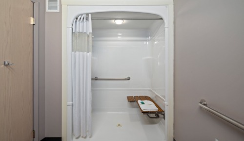 Standard Room, 1 Queen Bed, Mobility Accessible (Accessible Shower)