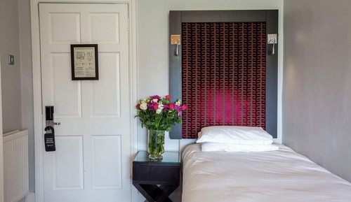 Room, 1 Twin Bed (Main House)