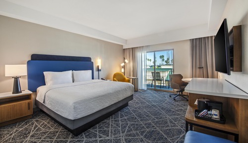 Room, 1 King Bed (Standard View)