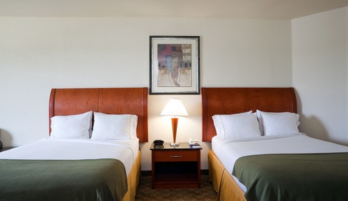 Suite, Multiple Beds (Separate Bathrooms)