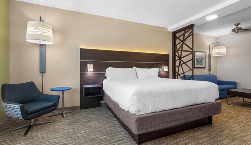 Suite, 1 King Bed with Sofa bed