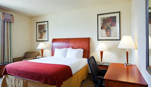 Standard Room, 1 King Bed, Accessible (Mobility, Roll-In Shower)