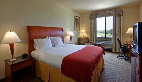 Suite, 1 King Bed
