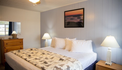 King Motel Room (No Pets)