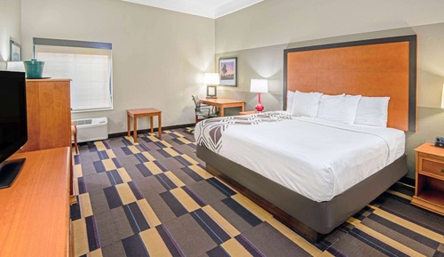 Room, 1 King Bed, Accessible, Non Smoking (Roll-in Shower)